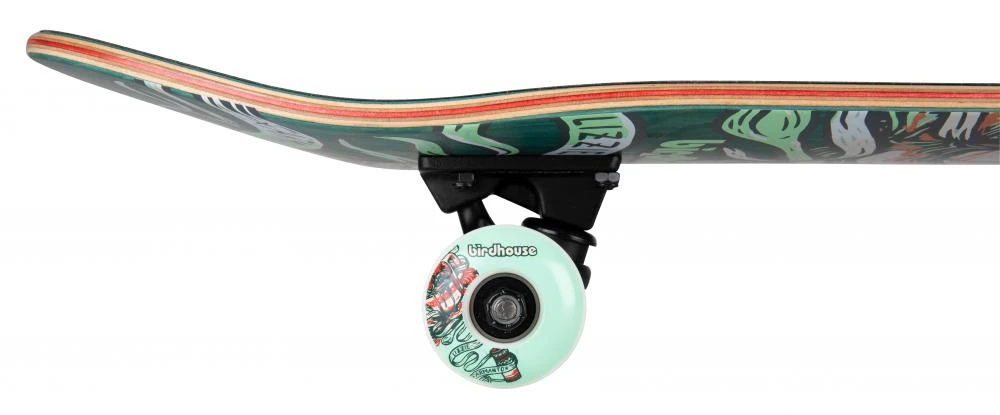 Birdhouse Stage 3 Armanto Favourites Green Skateboard - 7.75" - Image 3